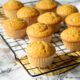 Muffin alla zucca Bimby