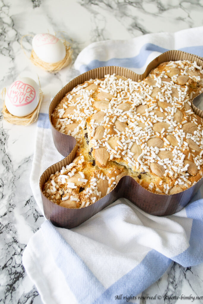 Colomba Pasquale Veloce bimby