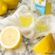 Limoncello Bimby