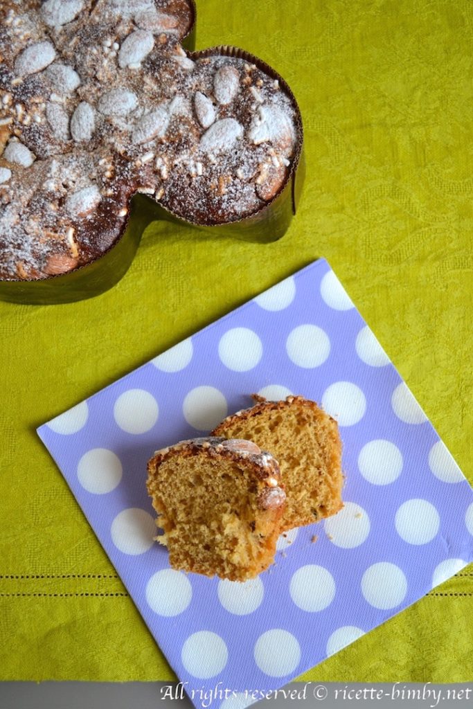 Colomba Pasquale bimby