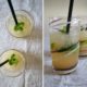 Virgin Mojito Bimby