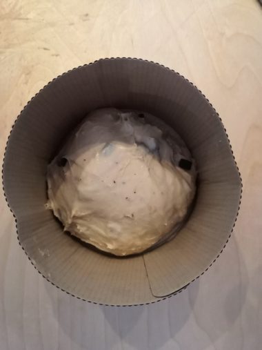 Panettone facile bimby passaggi