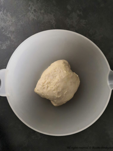 Conigli di pan brioche bimby