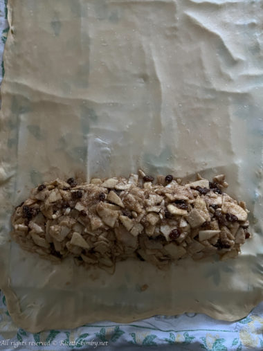 Strudel di mele bimby passaggi