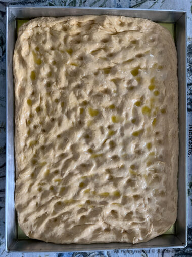Focaccia alla zucca bimby passaggi
