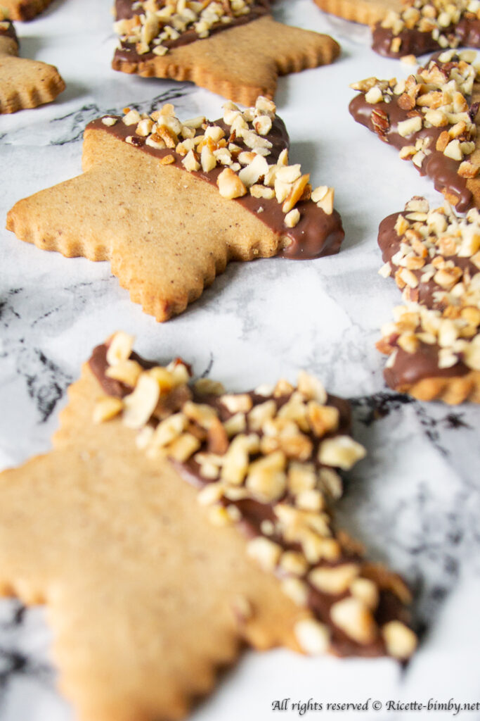 Biscotti di Natale con cioccolato bimby